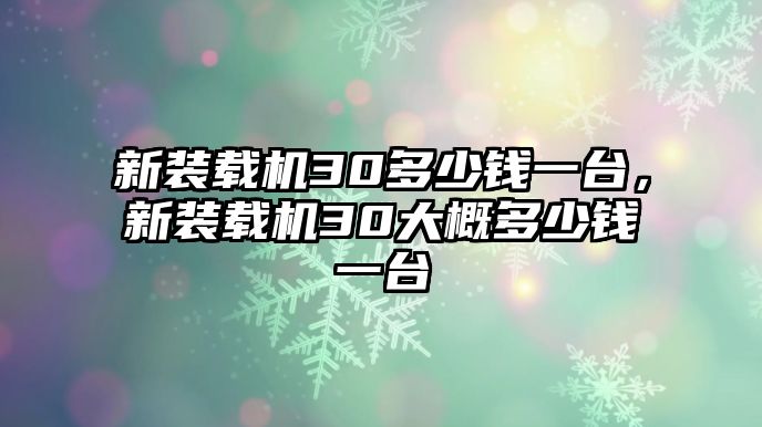 新裝載機30多少錢一臺，新裝載機30大概多少錢一臺