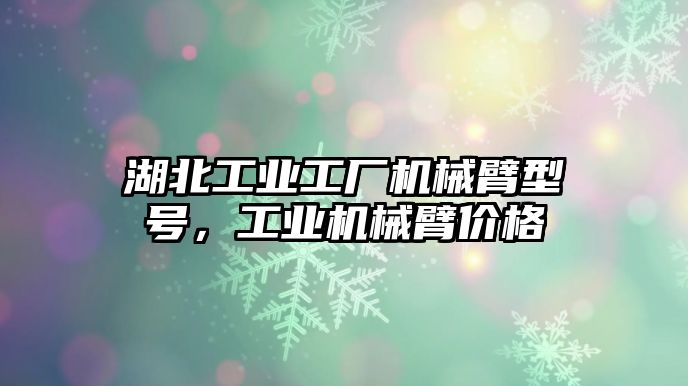 湖北工業工廠機械臂型號，工業機械臂價格