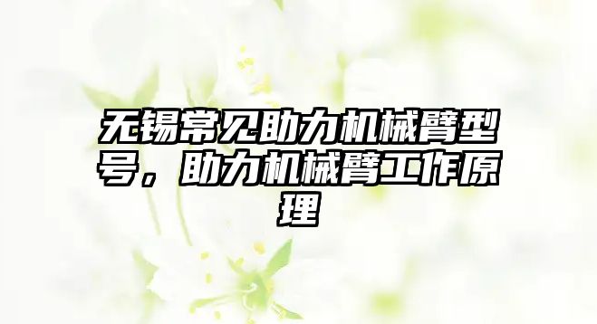 無錫常見助力機械臂型號，助力機械臂工作原理