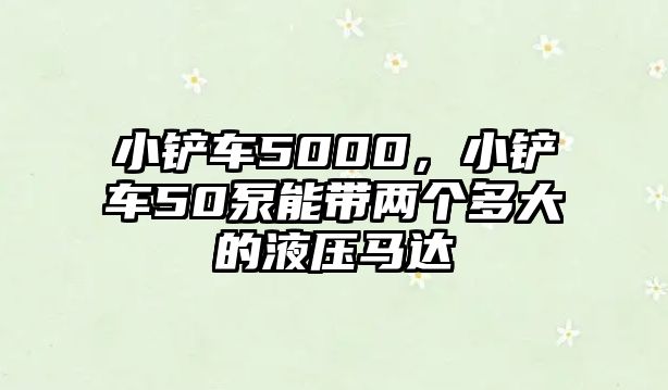 小鏟車5000，小鏟車50泵能帶兩個多大的液壓馬達