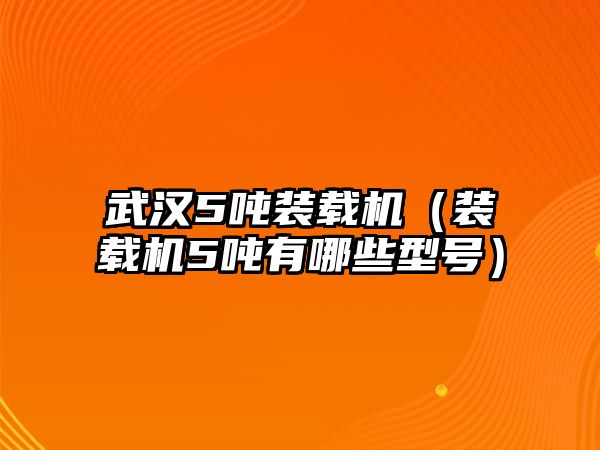 武漢5噸裝載機(jī)（裝載機(jī)5噸有哪些型號(hào)）