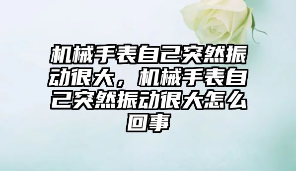 機械手表自己突然振動很大，機械手表自己突然振動很大怎么回事