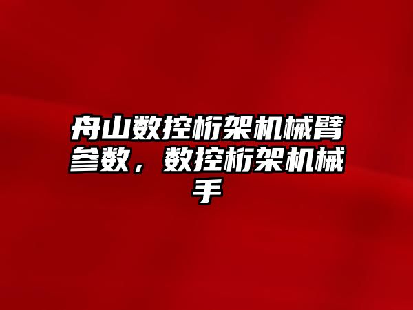 舟山數控桁架機械臂參數，數控桁架機械手