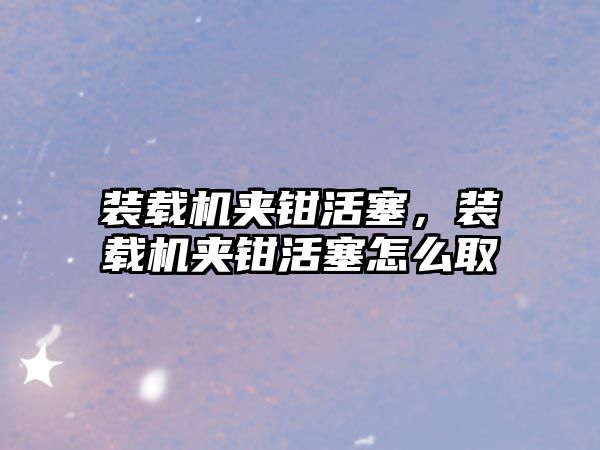 裝載機夾鉗活塞，裝載機夾鉗活塞怎么取