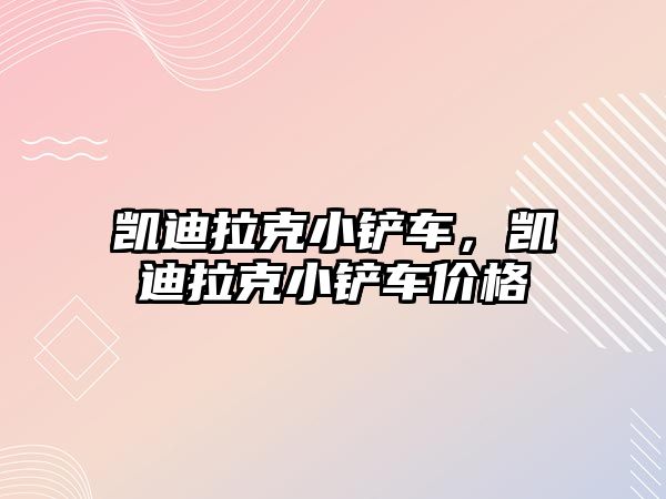 凱迪拉克小鏟車，凱迪拉克小鏟車價格