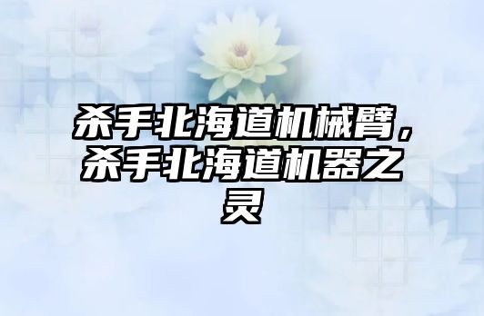 殺手北海道機械臂，殺手北海道機器之靈