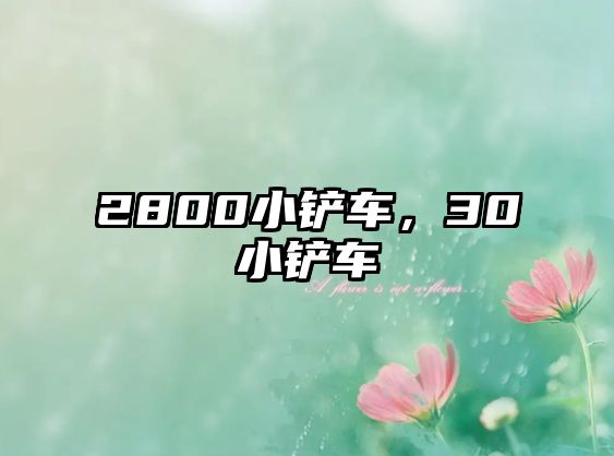 2800小鏟車，30小鏟車