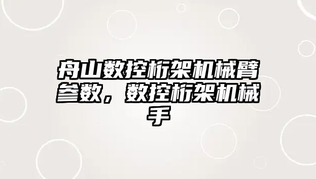 舟山數控桁架機械臂參數，數控桁架機械手