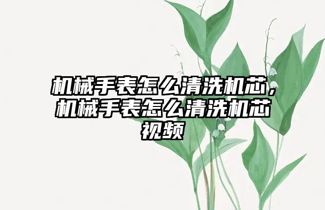 機械手表怎么清洗機芯，機械手表怎么清洗機芯視頻