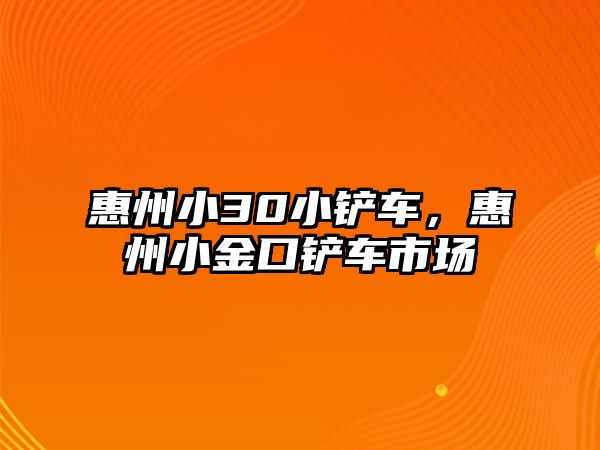 惠州小30小鏟車，惠州小金口鏟車市場