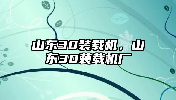 山東30裝載機，山東30裝載機廠