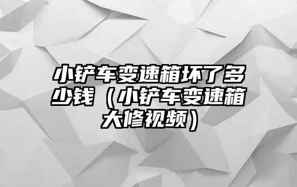 小鏟車變速箱壞了多少錢（小鏟車變速箱大修視頻）