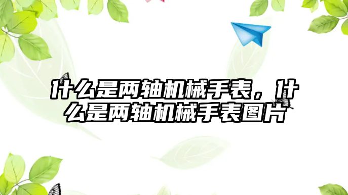 什么是兩軸機(jī)械手表，什么是兩軸機(jī)械手表圖片