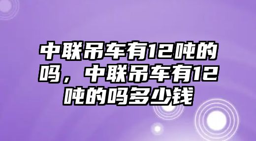 中聯吊車有12噸的嗎，中聯吊車有12噸的嗎多少錢