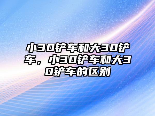 小30鏟車和大30鏟車，小30鏟車和大30鏟車的區別