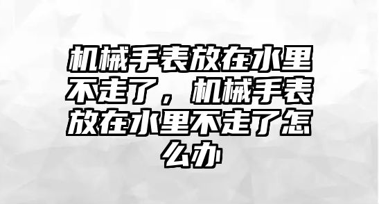 機械手表放在水里不走了，機械手表放在水里不走了怎么辦