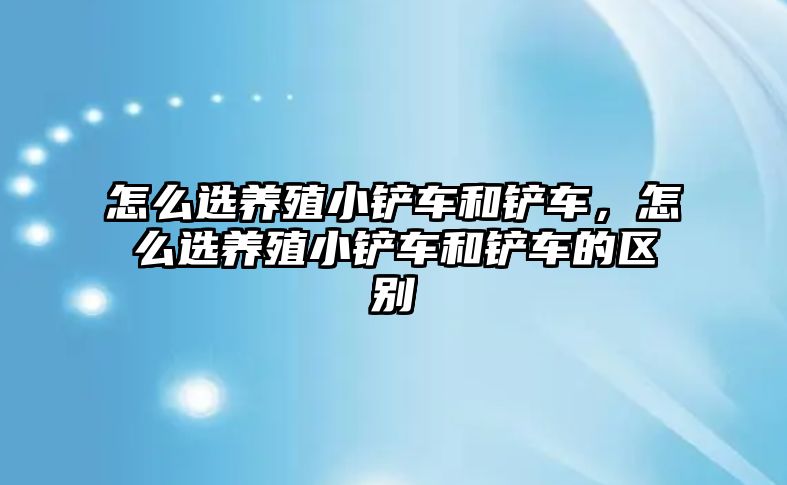 怎么選養殖小鏟車和鏟車，怎么選養殖小鏟車和鏟車的區別