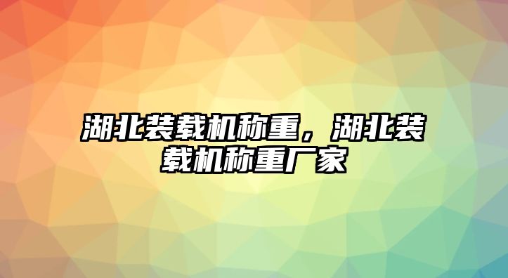 湖北裝載機稱重，湖北裝載機稱重廠家