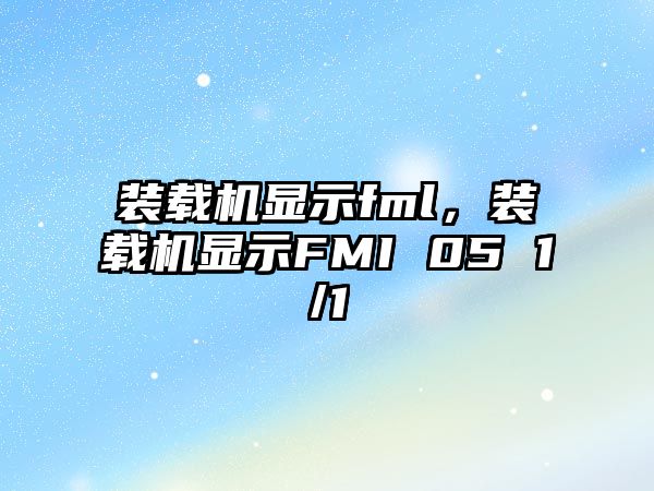 裝載機顯示fml，裝載機顯示FMI 05 1/1