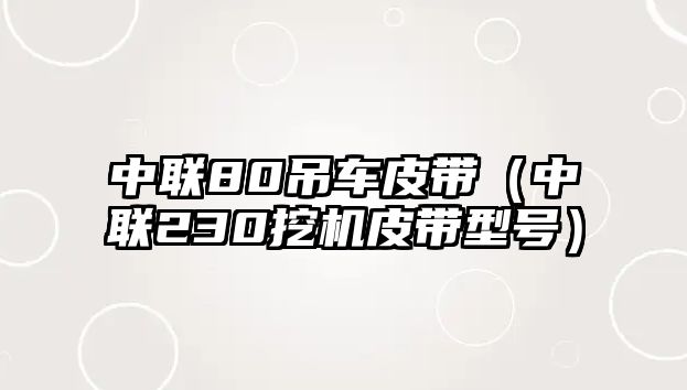 中聯80吊車皮帶（中聯230挖機皮帶型號）