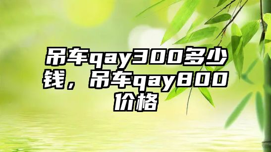 吊車qay300多少錢，吊車qay800價格