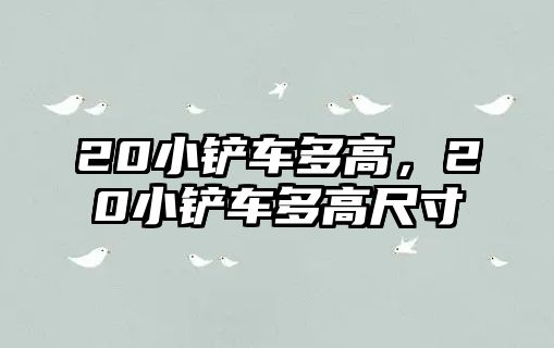 20小鏟車多高，20小鏟車多高尺寸