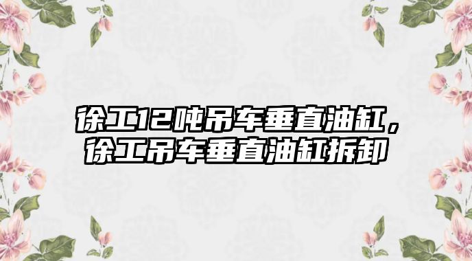 徐工12噸吊車垂直油缸，徐工吊車垂直油缸拆卸