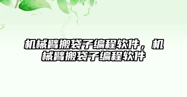 機械臂搬袋子編程軟件，機械臂搬袋子編程軟件