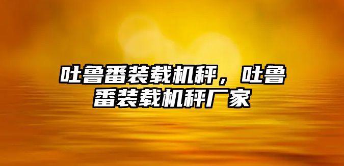 吐魯番裝載機秤，吐魯番裝載機秤廠家