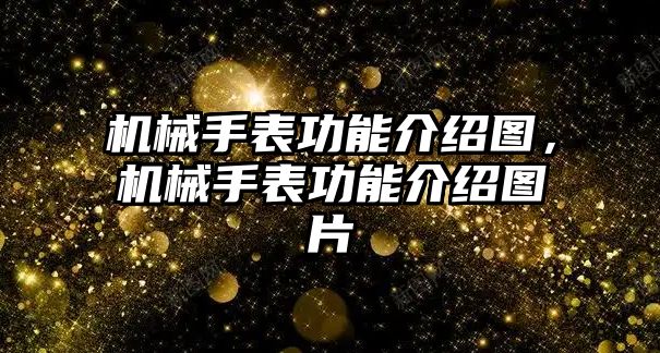 機械手表功能介紹圖，機械手表功能介紹圖片