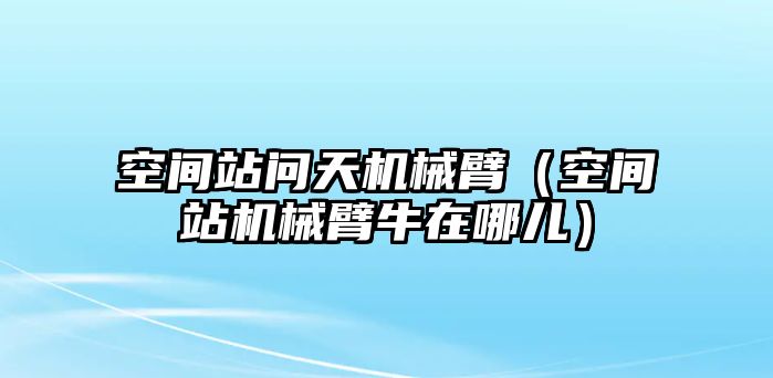 空間站問天機(jī)械臂（空間站機(jī)械臂牛在哪兒）