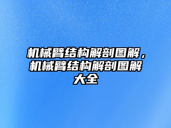 機械臂結構解剖圖解，機械臂結構解剖圖解大全