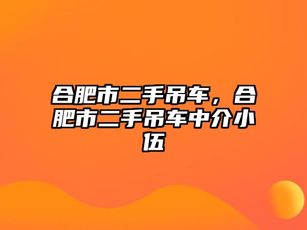 合肥市二手吊車，合肥市二手吊車中介小伍