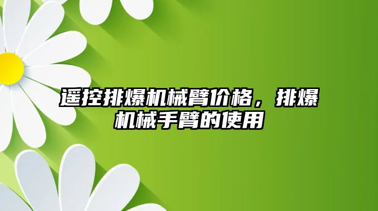 遙控排爆機械臂價格，排爆機械手臂的使用